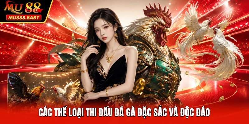 Các thể loại thi đấu đá gà đặc sắc và độc đáo