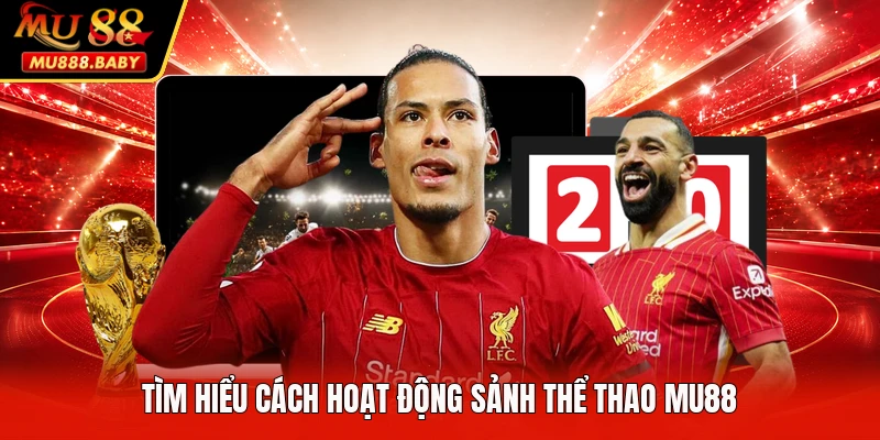 Tìm hiểu cách hoạt động sảnh thể thao MU88